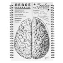 Блокнот «Мозги – равные полушария»