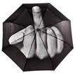 Зонт дерзкий "Фак дождю"